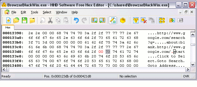 Screenshot of BrowzarBlackWin.exe after editing