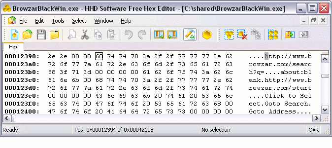 Screenshot of BrowzarBlackWin.exe before editing